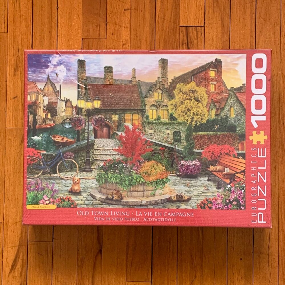 Old Town Living New Sealed 1000 Pieces Eurographics Jigsaw Puzzle by David Mclea